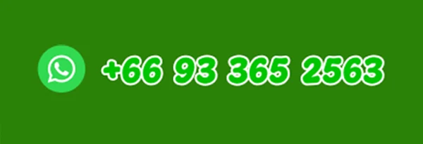 WhatsApp +66 93 365 2563